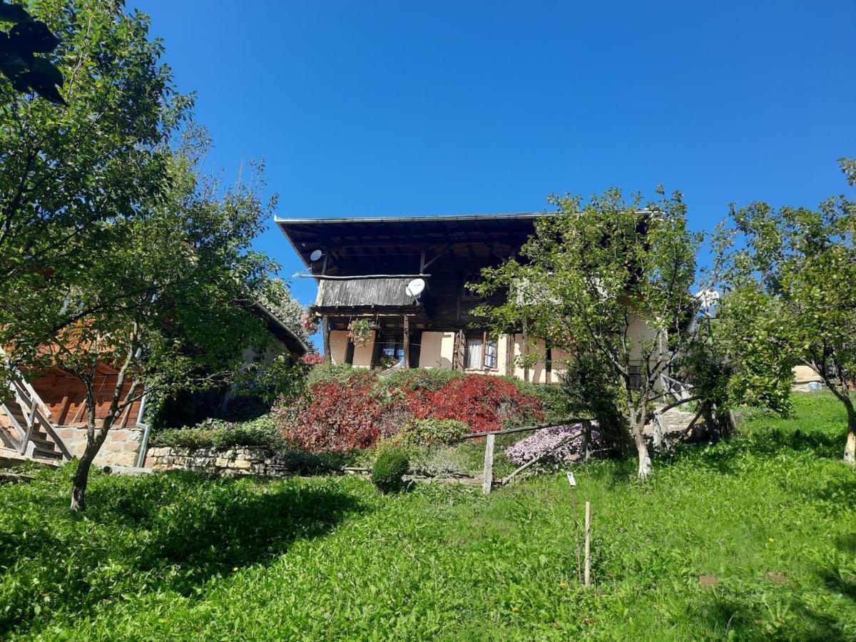 Guest House Kandaferi 2 Elena Exterior foto
